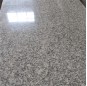 Salt and pepper granite
